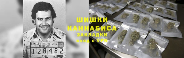 прущая мука Тында